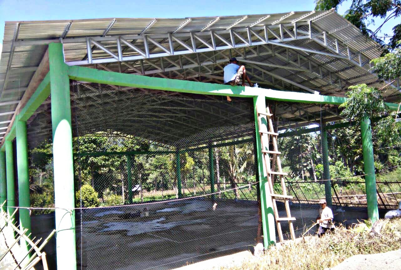 Logo Lapangan Futsal